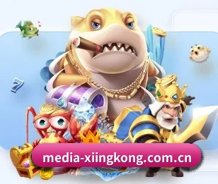 关于我们 - 体育资讯内容服务 - xingkong