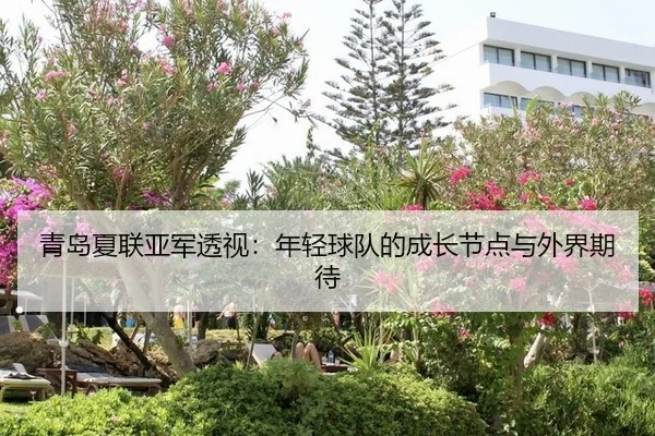 青岛夏联亚军透视：年轻球队的成长节点与外界期待 | xingkong